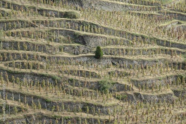 L’exigence pour nature